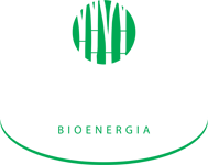 São Luiz Bioenergia